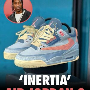 Inertia‎ Colorway‎ x‎ Air‎ Jordan‎ 3‼️